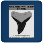 GR OCEANIC WT T C