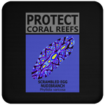 PCRS S EGG C