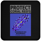 PCRS S EGG C