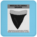 GR MEGALOLAM T C