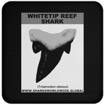 GR WHITETIPR T C