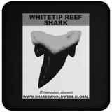 GR WHITETIPR T C