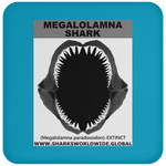 GR MEGALOLAM J C