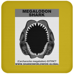 GR MEGALODON J C