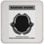 GR BASKING SHARK J C