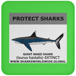 PRS GIANT MAKO V1 C