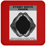 GR PYGW J C