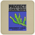 PCRS BIRDS C
