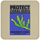 PCRS BIRDS C
