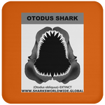 GR OTODUS J C