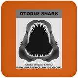GR OTODUS J C