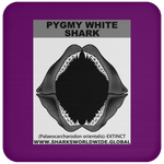 GR PYGW J C