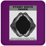 GR PYGW J C