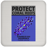 PCRS S EGG C