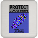 PCRS S EGG C