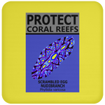 PCRS S EGG C