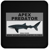 AP WHALE S C
