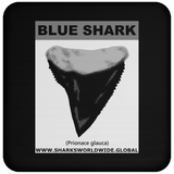 GR BLUE S T C