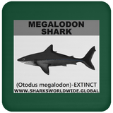 SSP MEGALODON C