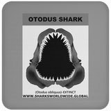 GR OTODUS J C