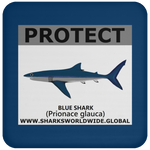 PRS BLUE SHARK V2 C