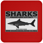 SSPX MEGALODON C