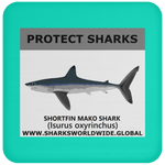 PRS SHORTFIN V1 C