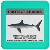 PRS SHORTFIN V1 C