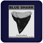 GR BLUE S T C