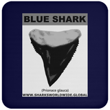 GR BLUE S T C