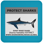 PRS GIANT MAKO V1 C