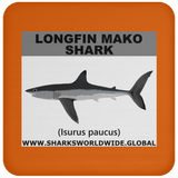 SSP LONGFIN C