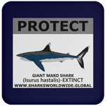 PRS GIANT MAKO V2 C