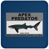 AP WHALE S C