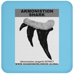 GR AKMONISTION T C