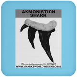 GR AKMONISTION T C