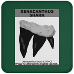 GR XENACANTHUS T C