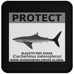 PRS BLACKTIP REEF V2 C