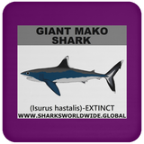 SSP GIANT MAKO C