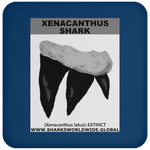 GR XENACANTHUS T C