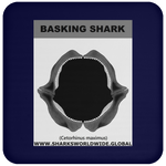 GR BASKING SHARK J C