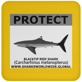 PRS BLACKTIP REEF V2 C