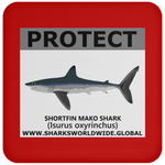 PRS SHORTFIN V2 C