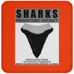GR SSPX T MEGALODON C