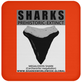 GR SSPX T MEGALODON C