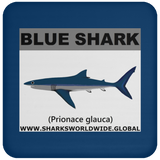 SSP BLUE SHARK C