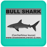 SSP BULL SHARK C