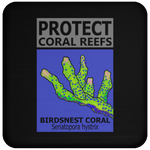 PCRS BIRDS C