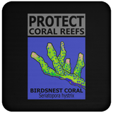 PCRS BIRDS C