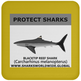 PRS BLACKTIP REEF V1 C